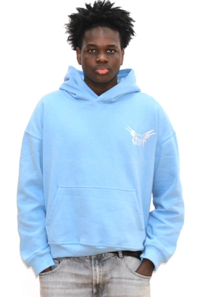 Baby Blue Hoodie